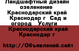 Ландшафтный дизайн, озеленение - Краснодарский край, Краснодар г. Сад и огород » Услуги   . Краснодарский край,Краснодар г.